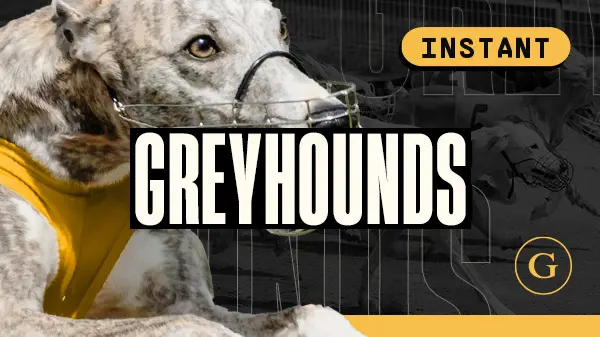 Dog - On Demand - Spin City - Congo